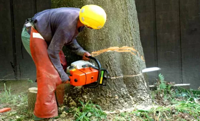 Abattage d'arbre dangereux, Castelnau-le-Lez, Cedre Espaces Verts